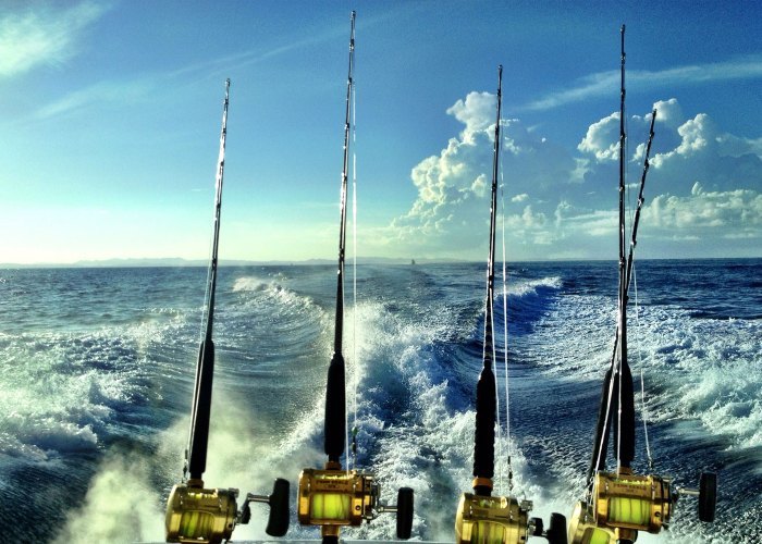 <span style="font-weight: bold;">Game Fishing At Rutland Island</span><br>