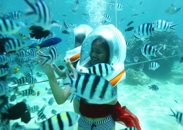 <span style="font-weight: bold;">Sea Walking In Andaman</span><br>
