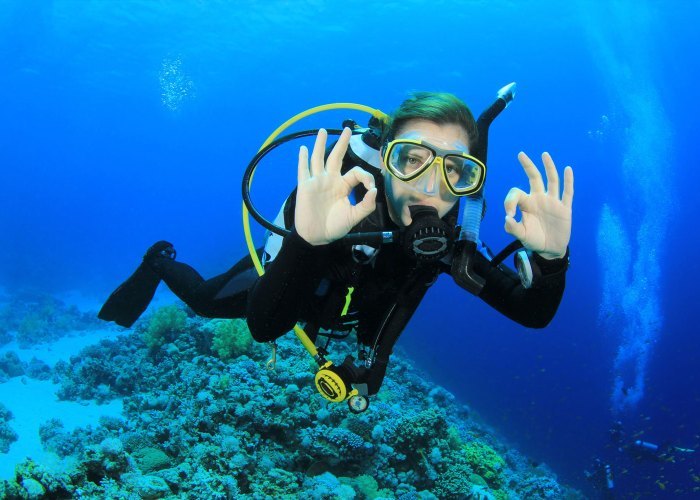 <span style="font-weight: bold;">Scuba Diving At Neil Island</span><br>